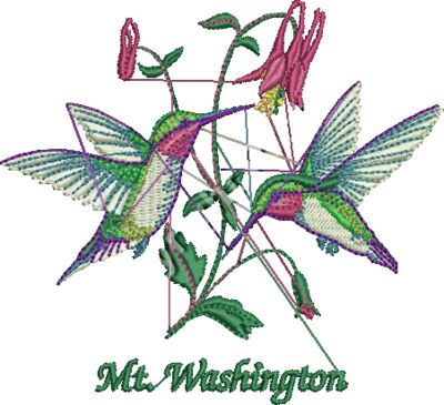 E339001 Hummingbirds
